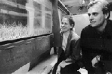 Associate Professor Heidi Nepf (left) and Marco Ghisalberti, a graduate student in civil and environmental engineering, view artificial sea grass in a flume tank. A laser doppler measures the grass movements, allowing the researchers to gather information on the interaction of the grass and pollution dispersion.