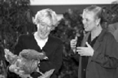 Departing VP for Human Resources Joan Rice (left) laughs as she holds her gift of a stuffed chicken given to her by Vice President Kathryn Willmore (right). The gift recalled a conversation in which Ms. Rice referred to "taking care of all the little chickens at MIT."