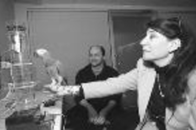 Visiting Associate Professor Irene Pepperberg of media arts and sciences holds Rufus, a visiting parrot who examines the interactive "toy" made by Media Lab graduate student Ben Resner last semester. Professor Pepperberg led "Pet Projects," an IAP activity which sought to examine the idea that if toys for children are now often computer-driven and interactive, might the same advances be applicable...