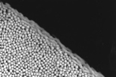 Avalanche is one of the images in a photographic exhibition by Sidney Nagel on view on the fourth floor of Building 4. This avalanche of mustard seeds takes place in a thin layer near the surface, with no movement occurring deeper within the container.