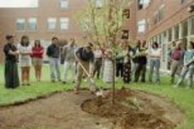 Friends of Michele Micheletti take part in a tree-planting ceremony honoring her memory.