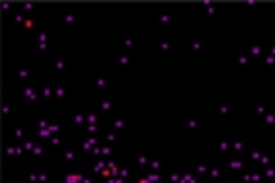 X-ray image of the central region of the galaxy NGC 4151.