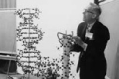 Professor Irwin Sizer in 1964, with one of the models he used to describe his biological research.