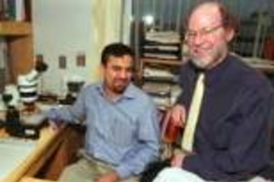 Rajesh Ranganathan (left) and Professor H. Robert Horvitz have discovered a fast receptor in worms that responds to serotonin.