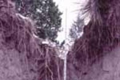 Visiting Professor Salvatore Grimaldi measures erosion in Ft. Carson Gully in Colorado as a member of Professor Rafael Bras's team effort to study the effects of vegetation on landscape erosion.