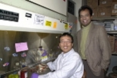 Dr. Dongfang Liu (seated) and Professor Ram Sasisekharan in their lab, where they have developed a new technique to attack acncer by designing drugs that affect the sugar coats on cells.
