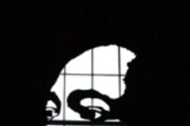 This silhouette of Dr. Martin Luther King Jr. is part of the Lobby 10 installation in his honor.