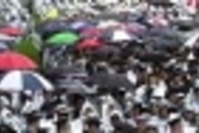 Some of the hundreds of umbrellas that dotted Killian Court during a rainy Commencement.