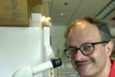 Professor Lenny Guarente examines his latest generation of yeast under the microscope.