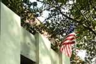 "I've never felt as close to a true collective will from MIT as I did in working on the wall." - John Fernandez