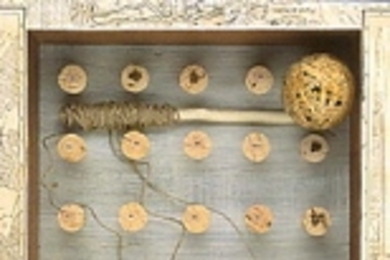 "Guide to the Perplexed"