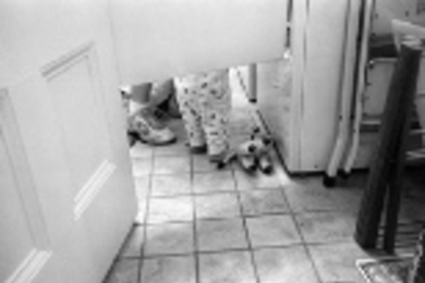 "I want people to feel the shock of recognition when they look at the photographs," B.D. Colen says.