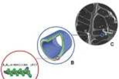 GRAPHIC / MIT BIOTECHNOLOGY 
PROCESSING ENGINEERING CENTER