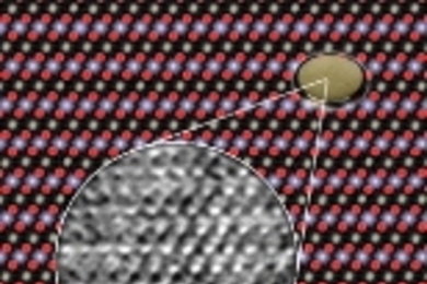 A computer simulation shows how columns of atoms in lithium cobalt oxide, seen end-on, ought to appear. The inset is the actual image taken with a transmission electron microscope. It shows the arrangement of lithium ions among cobalt and oxygen atoms in the compound lithium cobalt oxide. The oxygen atoms are bright and sharp-edged, the cobalt atoms are fuzzy, and the lithium atoms are small, weak...