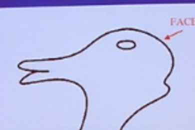 During a discussion of mental imagery that was part of a two-day conference at MIT featuring the Dalai Lama and prominent scientists, Stephen M. Kosslyn of Harvard asked the Dalai Lama what he saw in this sketch, pointing out that some people see a duck while others see a rabbit. The Dalai Lama saw both.