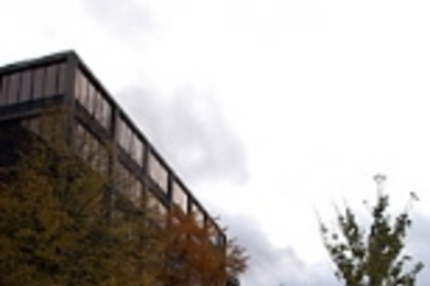 Vassar Street renovations include ginkgo trees, a bike path and new streetlamps.