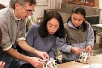 George Hart works on patterns for the "Salamanders" sculpture with graduate students Wai Ling Yee and Fumei Lam.