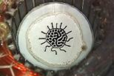 A drop of ferrofluid morphed into this design resembling Native American art.