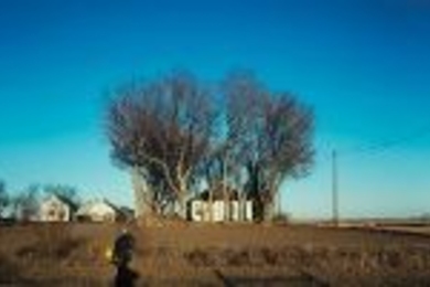 "Telling Detail" (1989) and several of Anne Whiston Spirn's other photos will be on display in the Compton Gallery through Jan. 30.