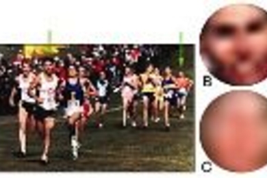 Objects can be defined both by intrinsic and contextual cues. In image (a), some of the runner's faces have enough intrinsic information to permit their classification as faces based on local image structure (b), while others almost entirely lack such intrinsic cues (c) and rely on contextual information. Many real-world viewing situations (such as observing objects at a distance, through haze or ...