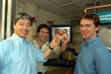 Shuguang Zhang (left), associate director of the Center for Biomedical Engineering, holds a spinach solution, the active component in a completed solar cell. Recent graduate Patrick Kiley, holding a completed chip, and Professor Marc Baldo of electrical engineering and computer sciences complete the team.