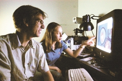 John Albeck, a graduate student in biology, and Laura Sontag, a graduate student in Computational and Systems Biology (CSBi), observe how a protein behaves using a technique called live cell microscopy. The new CSBi program blends biology, engineering and computer science.