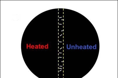 To test larvae for thermotaxis, a temperature gradient is generated across an agar-covered plate by heating the left half of the plate (heated zone) and leaving the right unheated (unheated zone). <a onclick="MM_openBrWindow('1-hotfly-enlarged.html','','width=509, height=583')">
<span onmouseover="this.className='cursorChange';">
<strong>Open image gallery</strong>
</span>
</a>
<noscript> <a href=...