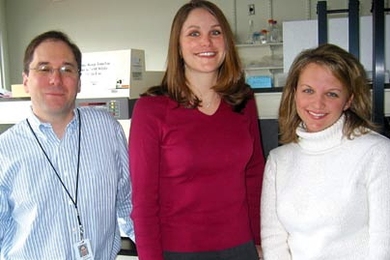 Broad Institute researchers David Altshuler, left, Wendy Winckler, Stacey Gabriel and colleagues have found that the gene-swapping locations in human and chimpanzee genomes are entirely different.