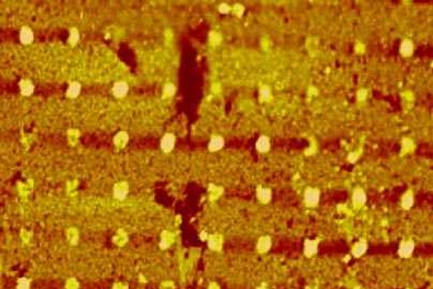 These DNA dots, each only about 200 nanometers in diameter, were printed using a new 'nano-printing' technique developed at MIT.