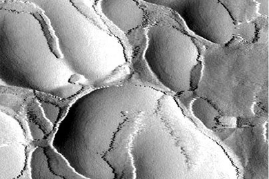 This image of the inside of a seashell shows the smooth morphology of individual nanobumps and their attached biopolymers. The biopolymers glue the layers of the shell together to create a create a strong structure out of two relatively weak materials. <a onclick="MM_openBrWindow('seashell-bumps-enlarged.html','','width=509, height=583')">
<span onmouseover="this.className='cursorChange';">Open i...