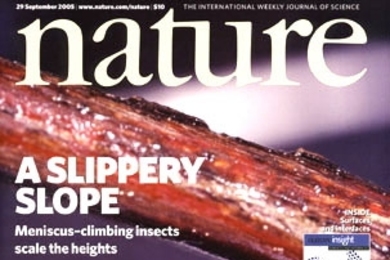 Sept. 29 <a onclick="MM_openBrWindow('nature-sept29-enlarged.html','','width=509, height=583')">
<span onmouseover="this.className='cursorChange';">Open image gallery</span>
</a>
<noscript> <a href="nature-sept29-enlarged.html">
<em>(no JavaScript)</em>
</a>
</noscript>