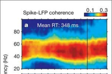 MIT researchers have found that synchronized neurons speed up attention. The color scale in these graphs indicates the degree of synchronized activity of neurons in the monkey's V4 area of the visual cortex. The more the neurons fire in synchrony (red), the faster the monkey notices a small color change in an attended picture (348 instead of 498 milliseconds).