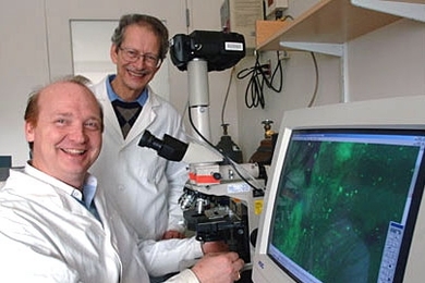 Research scientist Rutledge Ellis-Behnke, left, and Professor Gerald E. Schneider, both of the Department of Brain and Cognitive Sciences, worked with others to create a technique that helps rodents recover from traumatic brain injuries. The monitor shows a microscopic view of the brain repair.