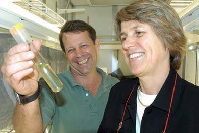 MIT marine biologists Ed DeLong and Penny Chisholm check out an ocean water sample. Researchers in Chisholm's lab have shown that gene-swapping takes place among ocean plankton and resembles the flow of genes known to occur among disease-causing bacteria.