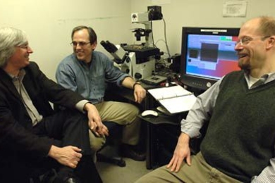 Professors Douglas A. Lauffenburger, Peter K. Sorger and Michael B. Yaffe share a moment together in Sorger's lab. The three members of MIT's Center for Cancer Research led a team of scientists that has found links between inflammatory disease and cancer.