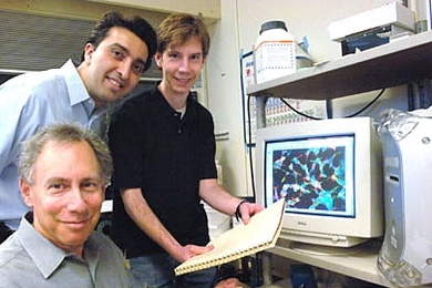 MIT Institute Professor Robert Langer, seated, joins Dr. Omid C. Farokhzad and researcher Benjamin A. Teply beside a monitor displaying an image of nanoparticles on Friday, March 31. The three are among a team of researchers that showed nanoparticles could be custom designed to destroy cancer cells.