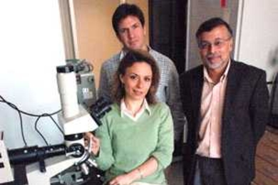 Three members of the team that found growth factor prevents the effects of visual deprivation in the brain pose in the lab. They are: Daniela Tropea, a postdoctoral fellow at the Picower Institute for Learning and Memory, seated; Gabriel Kreiman, a postdoctoral fellow with the McGovern Institute for Brain Research; and Mriganka Sur, head of the Department of Brain and Cognitive Sciences at MIT.