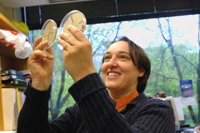 Associate Professor Angelika Amon investigates the specialized cell division process that produces sperm and eggs.