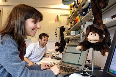 Animatronic monkeys keep graduate student Rachel Kern company in her office at the Media Lab on Friday, May 12. Colleague Matt Adcock, background, has another monkey with him. The monkeys are designed to aid communication between colleagues.