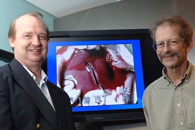 MIT research scientist Rutledge Ellis-Behnke, left, and Professor Gerald Schneider bracket a monitor showing a transected liver after it has been treated with a liquid solution containing peptides. The peptides self-assemble into a gel that essentially seals over the wound. The two developed the technique with MIT colleagues and researchers at the University of Hong Kong.