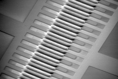 This micropump developed by MIT researchers allows high speed flows through microchannels with an input of only a few volts of electricity, making it possible to create portable "lab on a chip" devices.
The three-dimensional, alternating current electro-osmotic pump consists of interdigitated stepped gold microelectrodes on a glass substrate.