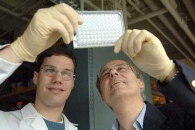 MIT graduate student Chris Loose, left, and Professor Greg Stephanopoulos look for signs of bacteria. The researchers and their colleagues have custom-designed molecules that are effective in killing microbes.