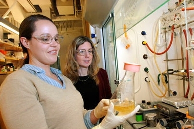 Chemistry graduate student Elizabeth McCoy, left, and Sarah O'Connor, assistant professor of chemistry, inspect their latest batch of periwinkle root. They are working with periwinkle seedlings to produce potential new drugs.