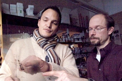 Postdoctoral fellow Christian Reinhardt, left, and Professor Michael Yaffe of MIT's Center for Cancer Research have identified a defense mechanism that helps tumor cells survive chemotherapy.