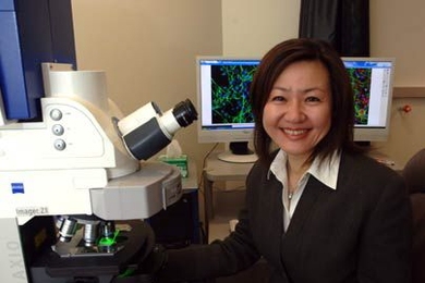 Li-Huei Tsai, Picower Professor of Neuroscience in the Department of Brain and Cognitive Sciences, and colleagues have found that exposing lab mice to certain environmental stimuli induced the animals' brain cells to make new connections.