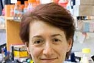 Professor Hazel Sive