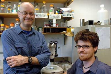 Biology professor Leonard Guarente, left, and postdoctoral associate Nicholas Bishop, in the lab where they have been studying longevity in the nematode worm Caenorhabditis elegans.