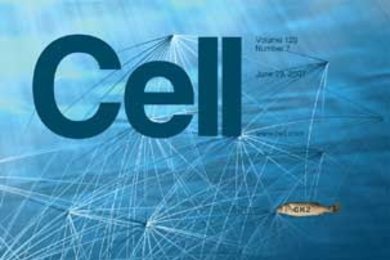 June 29 issue of Cell