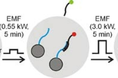 Here, dark gray nanoparticles carry different drug payloads (one red, one green). A remotely generated five-minute pulse of a low-energy electromagnetic field releases the green drug but not the red. A five-minute pulse of a higher-energy electromagnetic field releases the red drug, which had been tethered using a DNA strand twice as long as the green tether, as measured in base pairs.