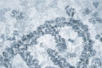 Individual proteins converge to form the distinctive shape of mitochondria.